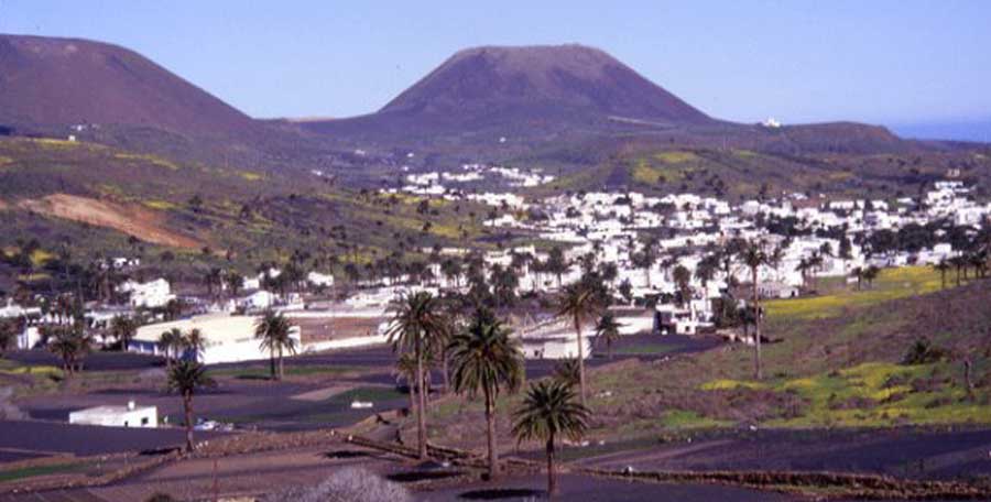 Morfo Lanzarote (ENG)