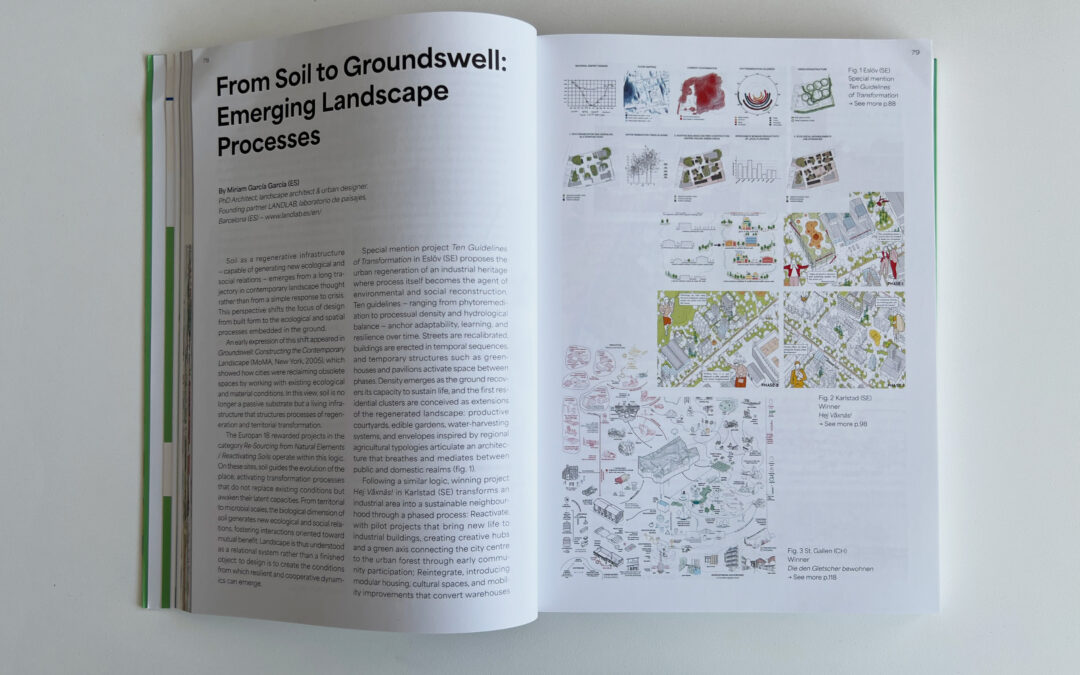 From Soil to Groundswell: Emerging Landscape Processes